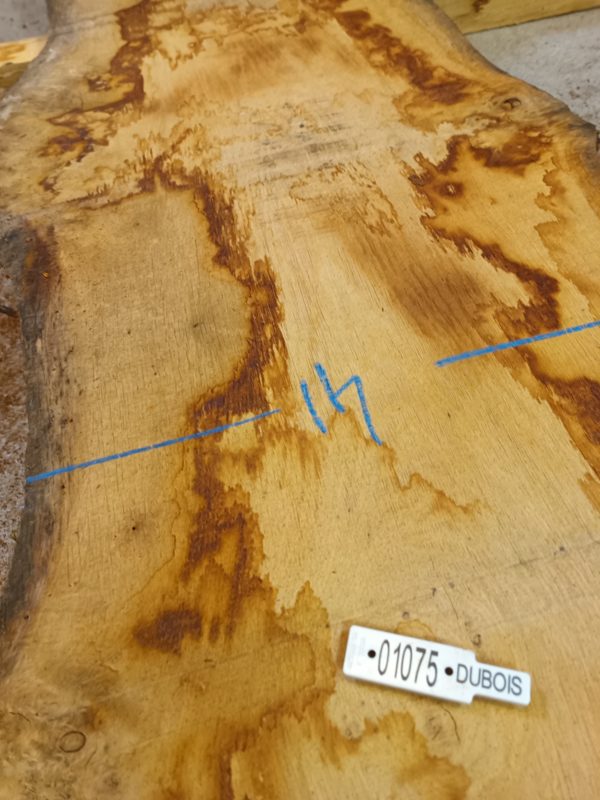 Plateau 1075 – Image 3
