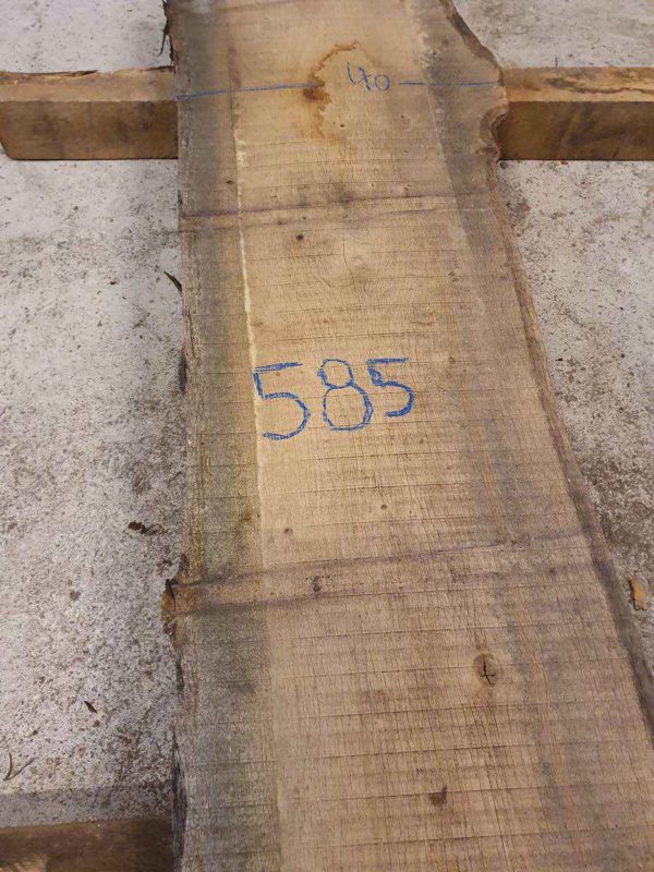 Plateau 585 – Image 2