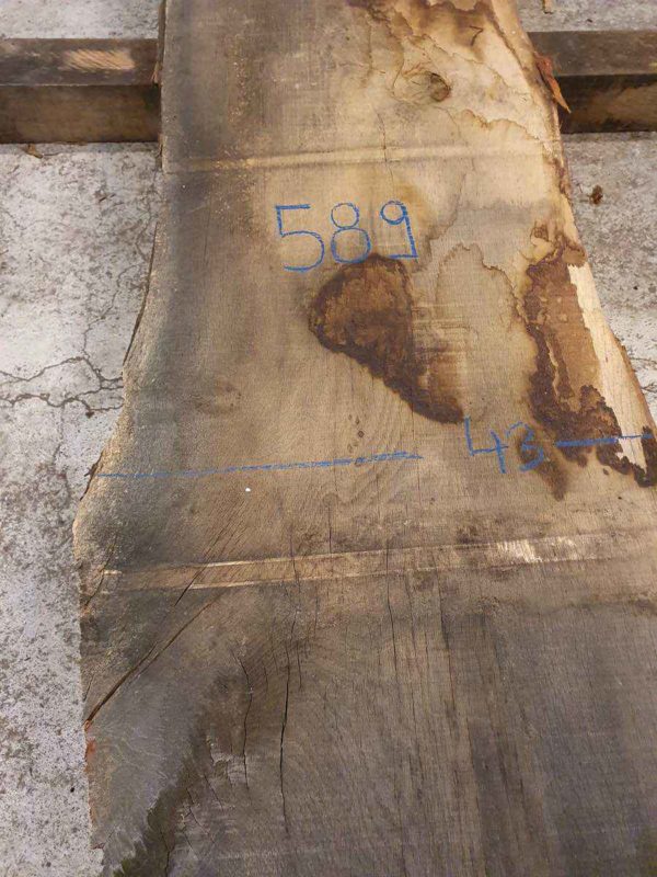 Plateau 589 – Image 2