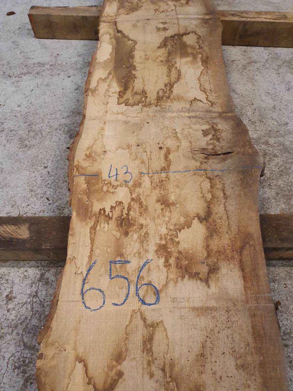 Plateau 656 – Image 2
